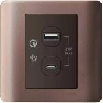 Schneider Electric 施耐德電氣 E8432ACQUSB_SZ_C5 Zencelo 兩位21W Type A+C PD+QC3.0 USB充電插座 (銀銅)